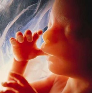 Note On The Legal Status Of The Fetus In Belgium Association Internationale De Libre Pensee Ailp Note On The Legal Status Of The Fetus In Belgium Association Internationale De Libre Pensee Ailp